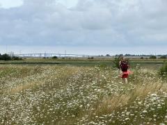 Heading out from Conyer up towards the coast - The Sheppey Crossing is further away than it looks!